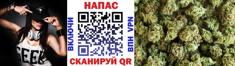 Конопля White Widow  mega как зайти  Сергач  хочу наркоту 